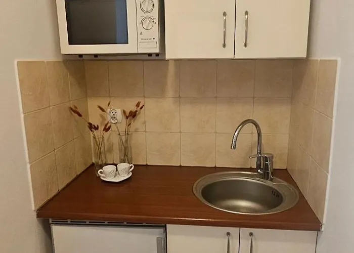 Pensionat Szepty Lasu