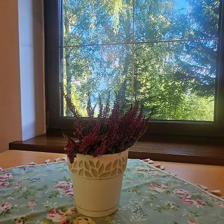 Szepty Lasu 3* Szklarska Poreba