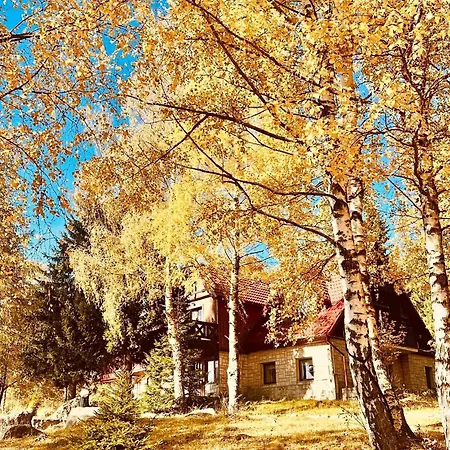 Szepty Lasu Guest house 3*