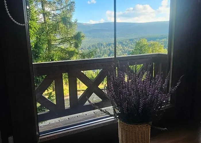 Guest house Szepty Lasu